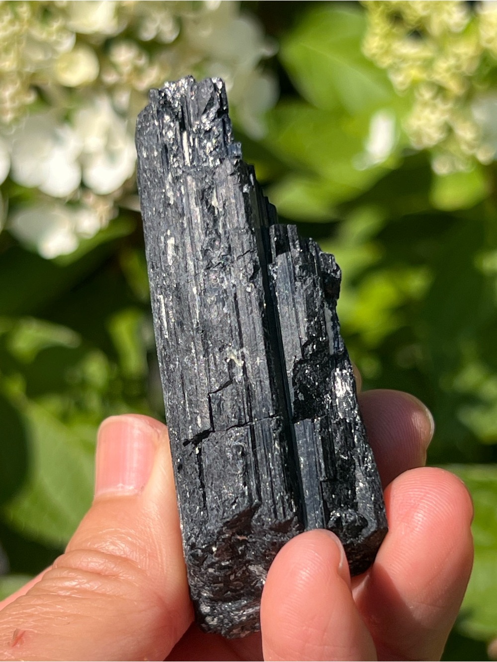 Black (2) Tourmaline specimen | Crystal